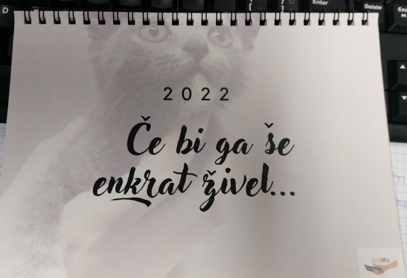 Koledarji za leto 2022 1 262265563 3199123697079083 8989110179153445375 n