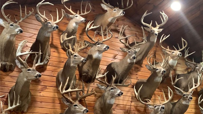 470558479 896061472719655 1765190262331862110 n