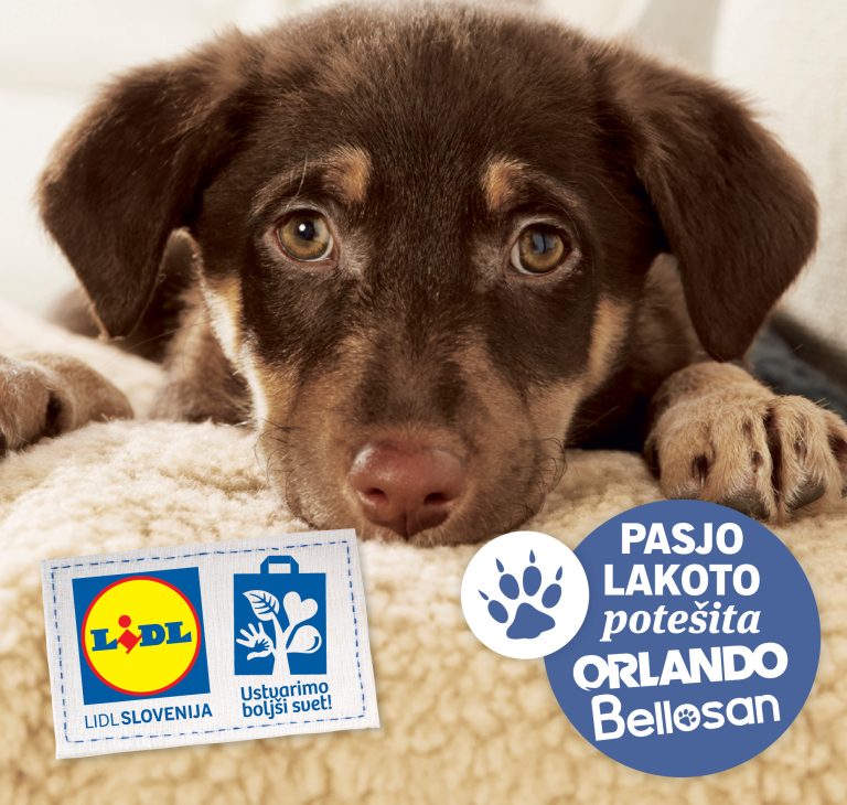Dobrodelnost zivali Lidl zbiralne kosare1