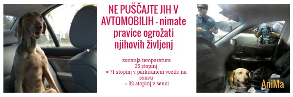 FotoJet Design