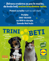 LIDL KORAKI ZA TACKE Banners SEP24 200x250px v2 01