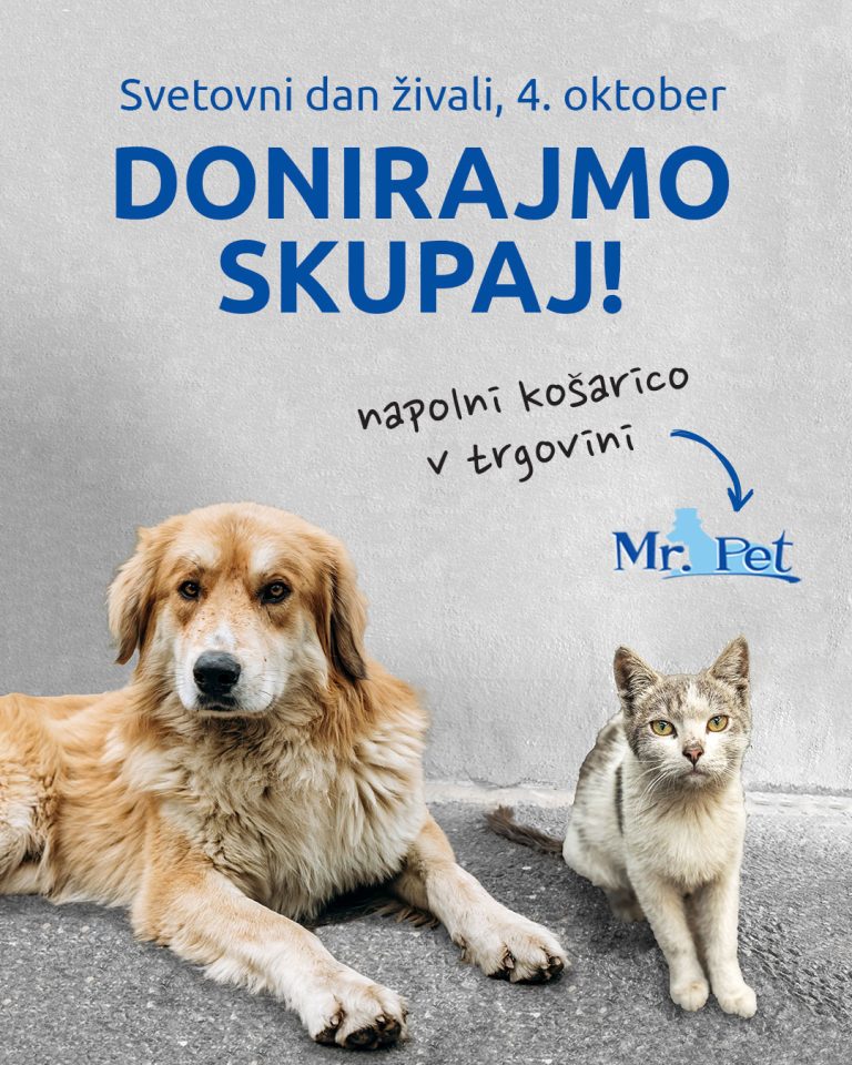 akcija 4 oktober