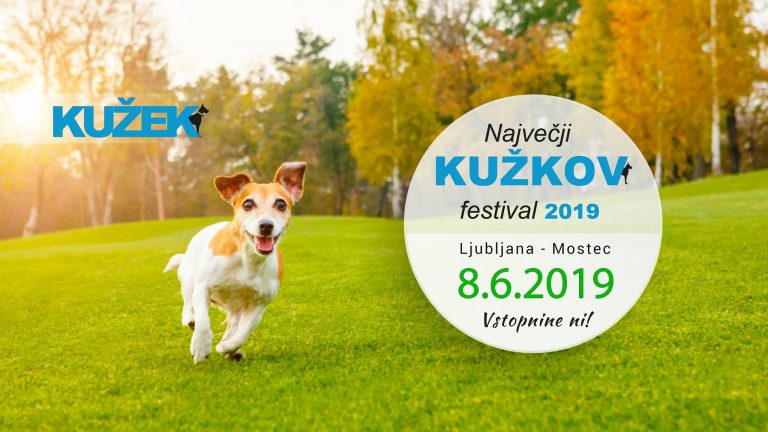 kuzkov festival 2019